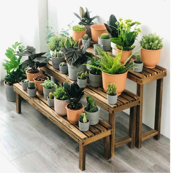 Single Layer Wooden Rack (80cm)