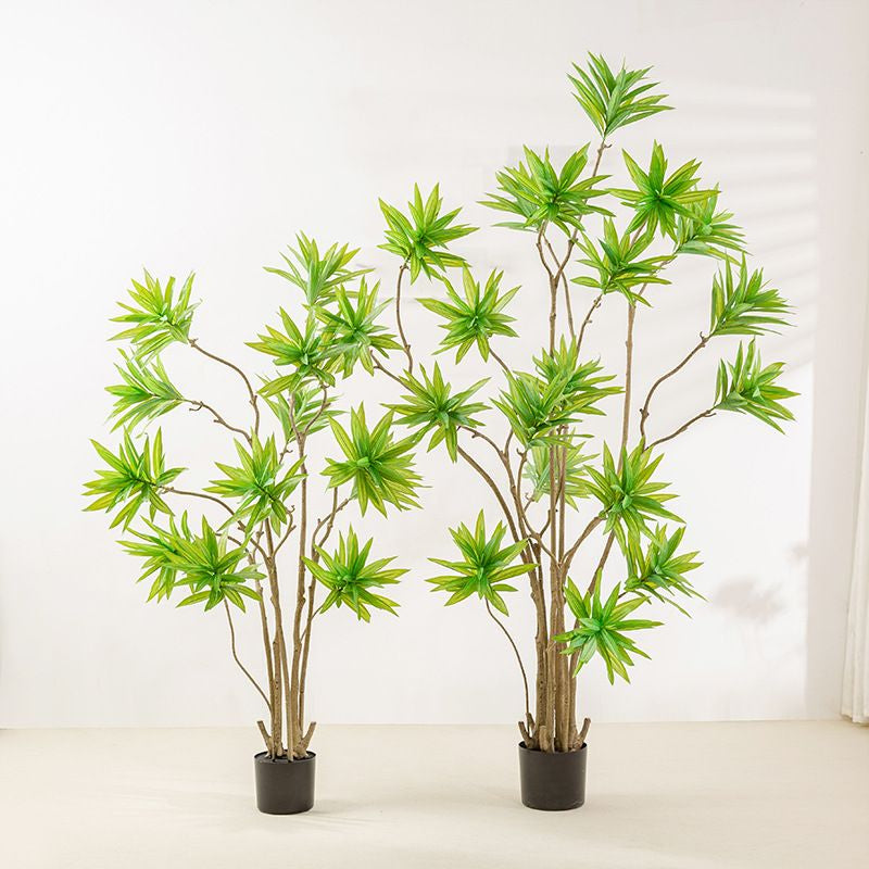 Artificial Dracaena Reflexa 160cm Tall