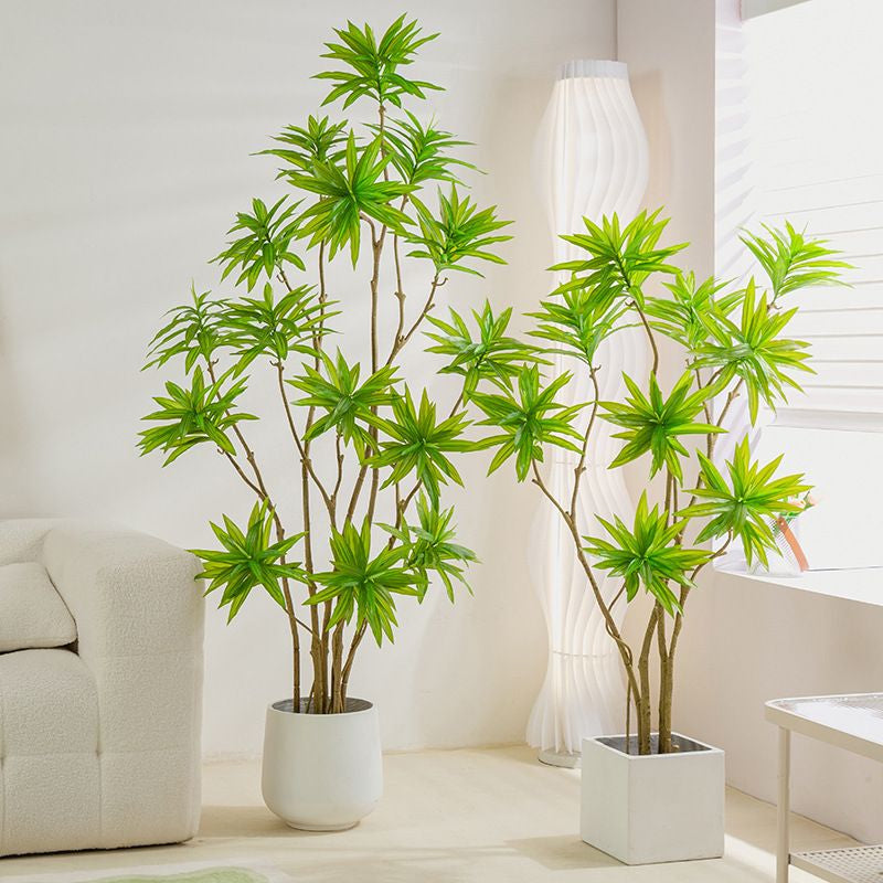Artificial Dracaena Reflexa 160cm Tall