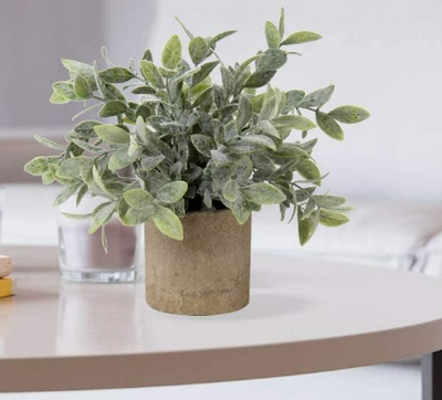 Artificial Small Leave Tea with Forst Table Plant in Pulp Pot