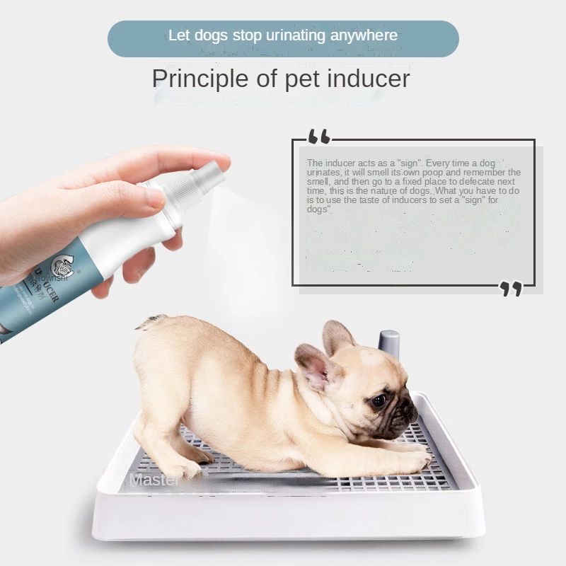 Dog Pee Training Inducer