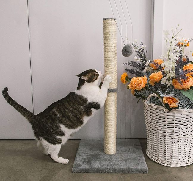 Stand Scratcher Post (88cm)