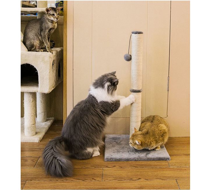 Stand Scratcher Post (88cm)