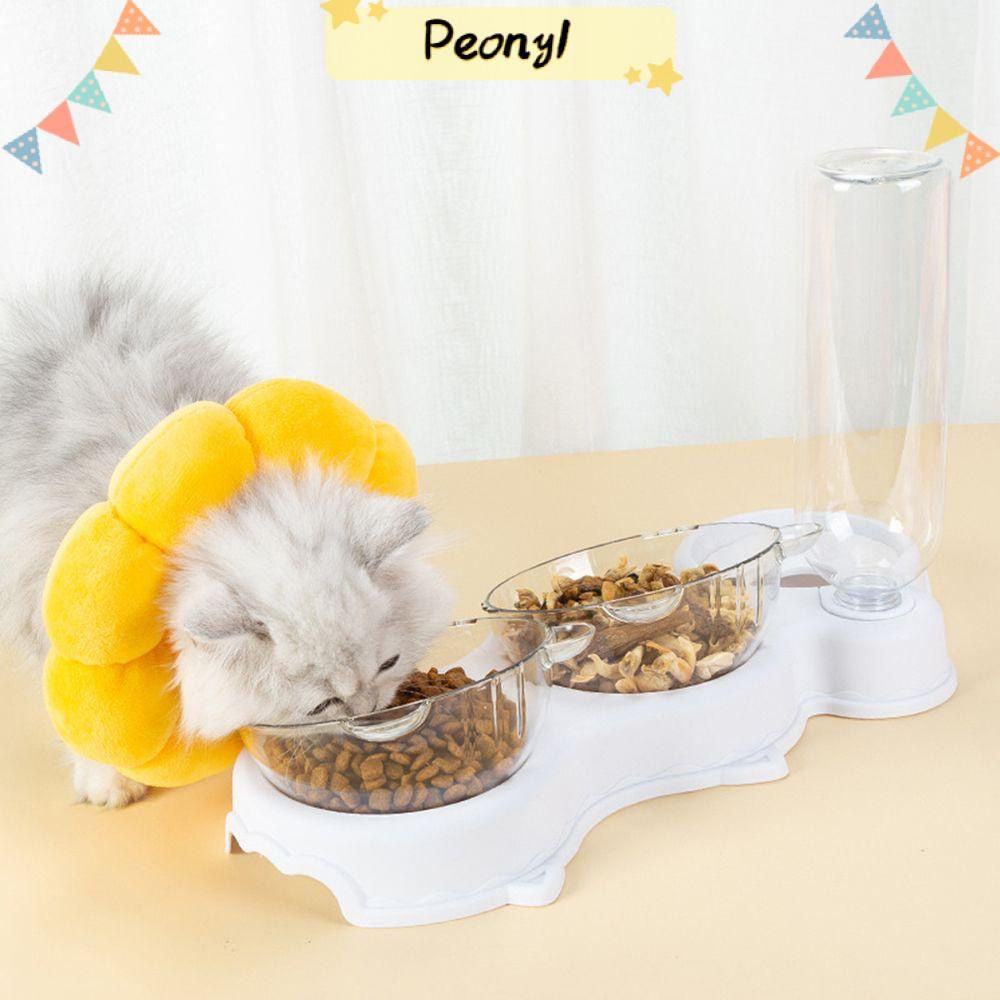 3in1 Food and Water Pet Feeder