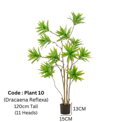 Artificial Artificial Dracaena Reflexa 120cm Tall