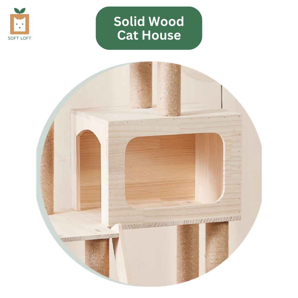 Wood and Sisal Cat Condo (141cm)