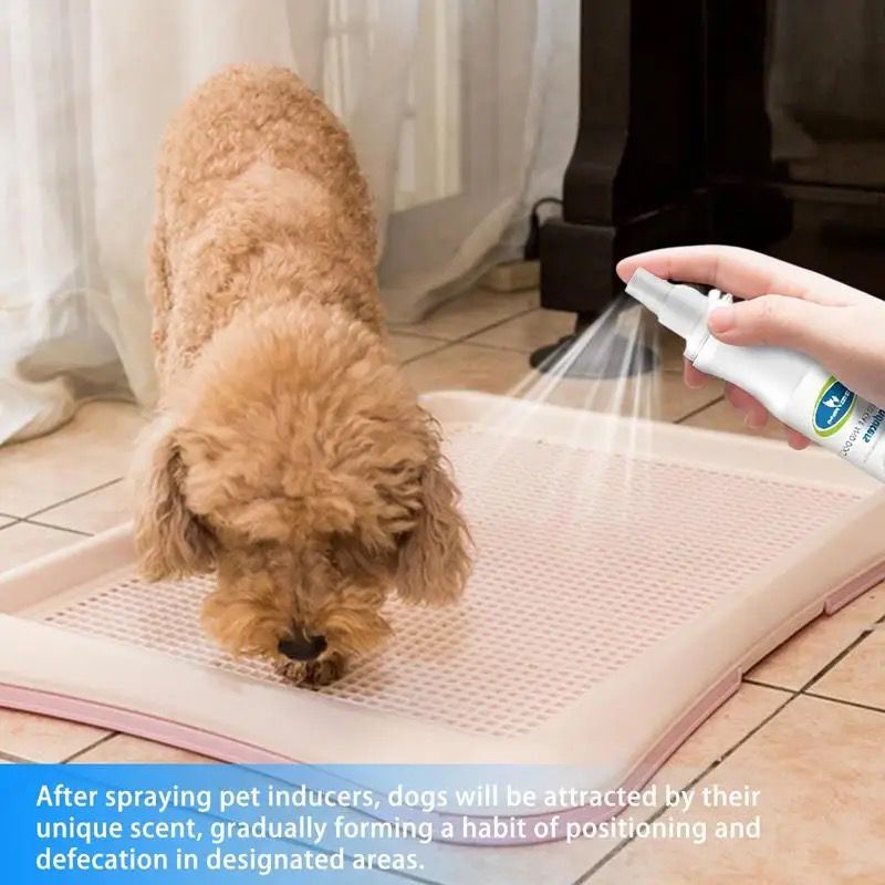 Dog Pee Training Inducer