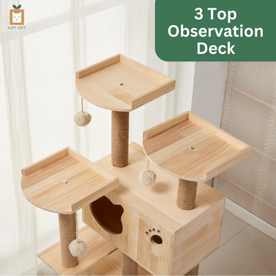 Wood and Sisal Cat Condo (155cm)