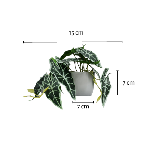Artificial Mini Potted Alocasia Plant in White Pot
