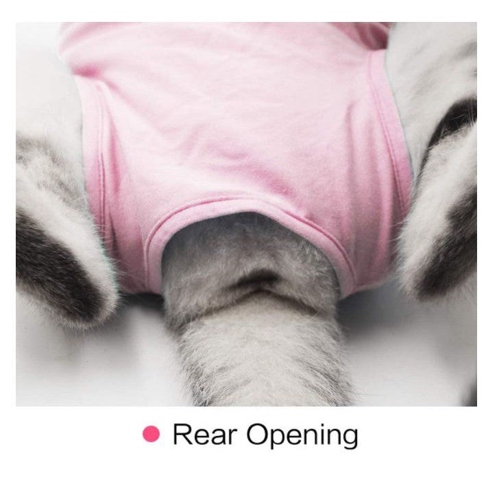 Pet Surgical Recovery Suit
