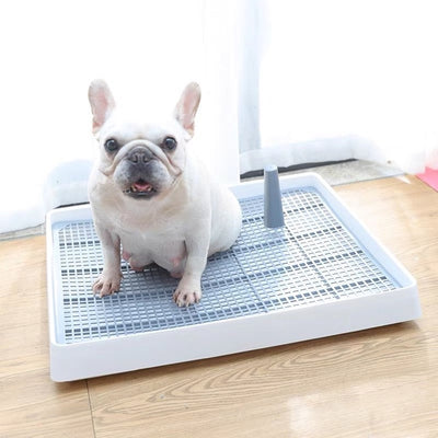 Pee Tray with Training Pole (Gray)
