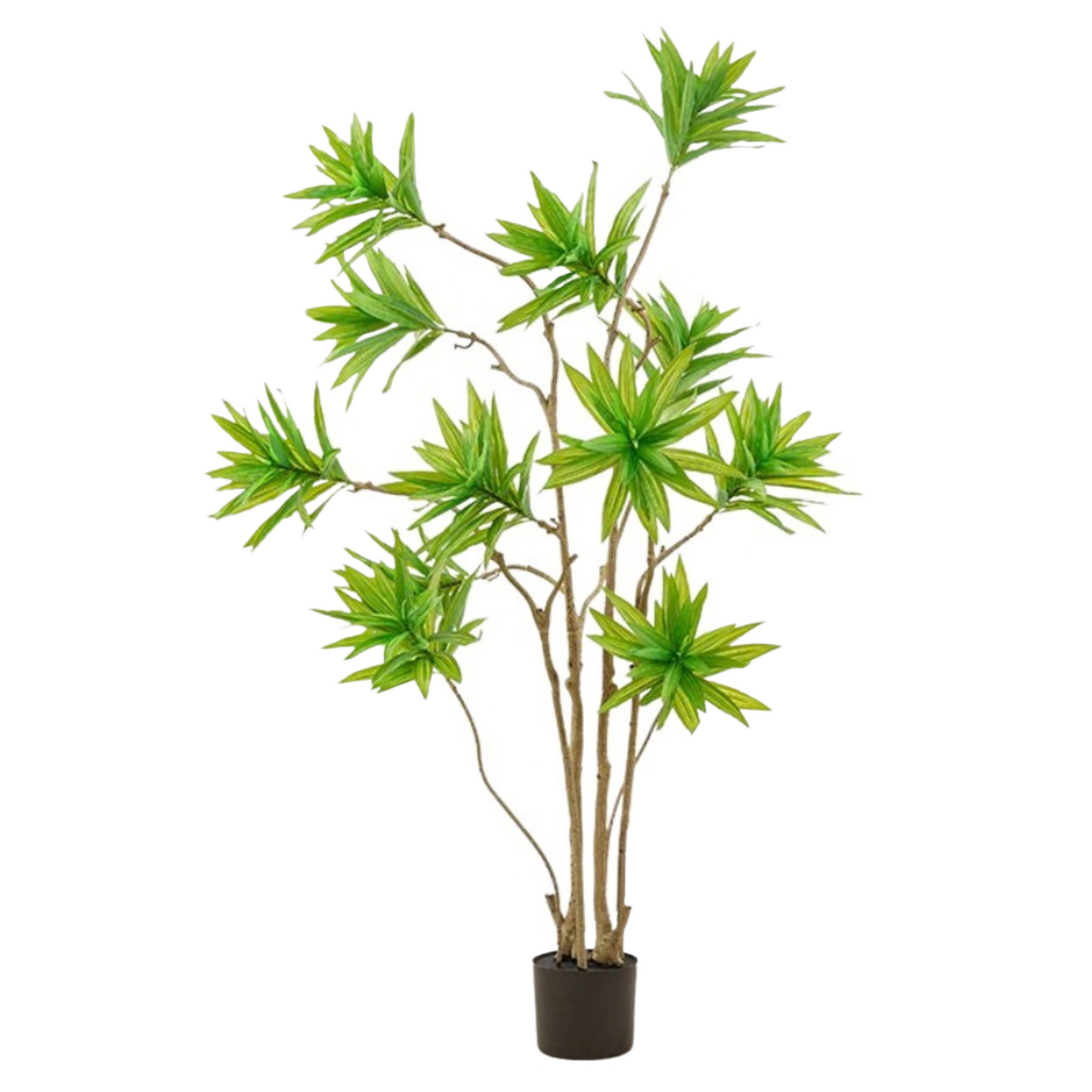 Artificial Artificial Dracaena Reflexa 120cm Tall