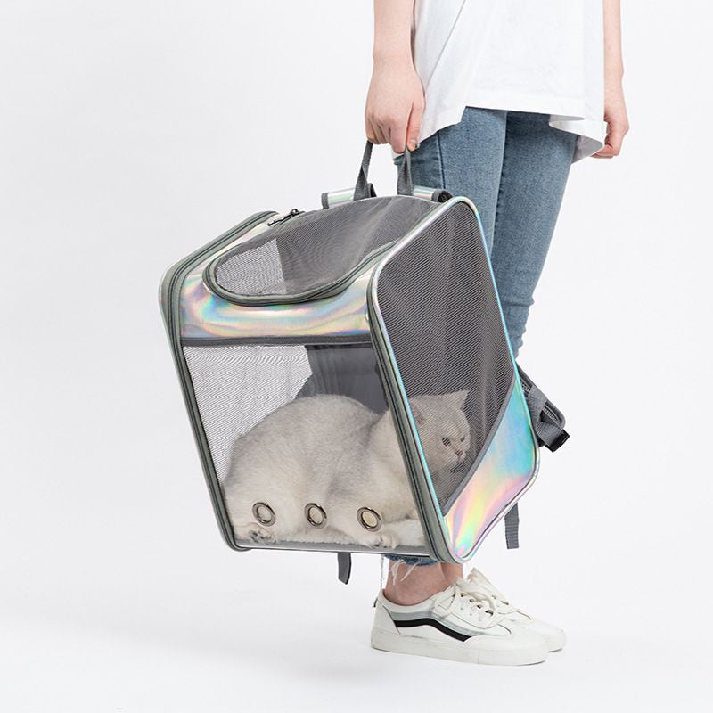 Soft Transparent cover Pet Silver Backpack (35cm)
