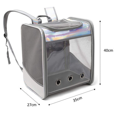 Soft Transparent cover Pet Silver Backpack (35cm)