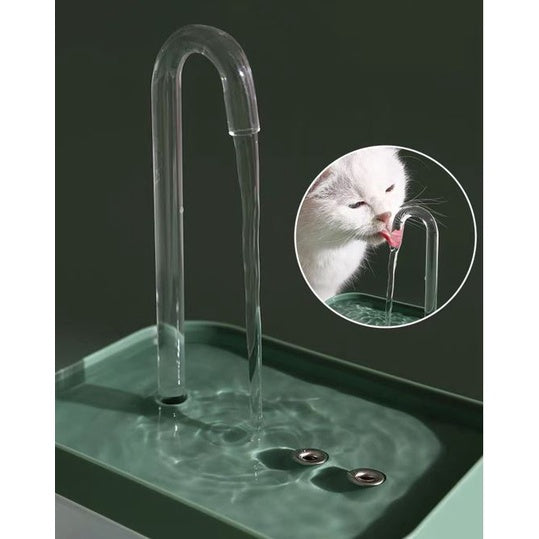 Water Fountain - Automatic with USB