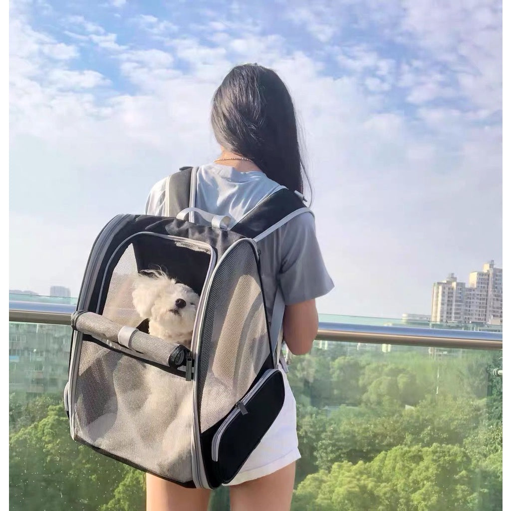 Pet Backpack - Breathable Mesh (38cm)