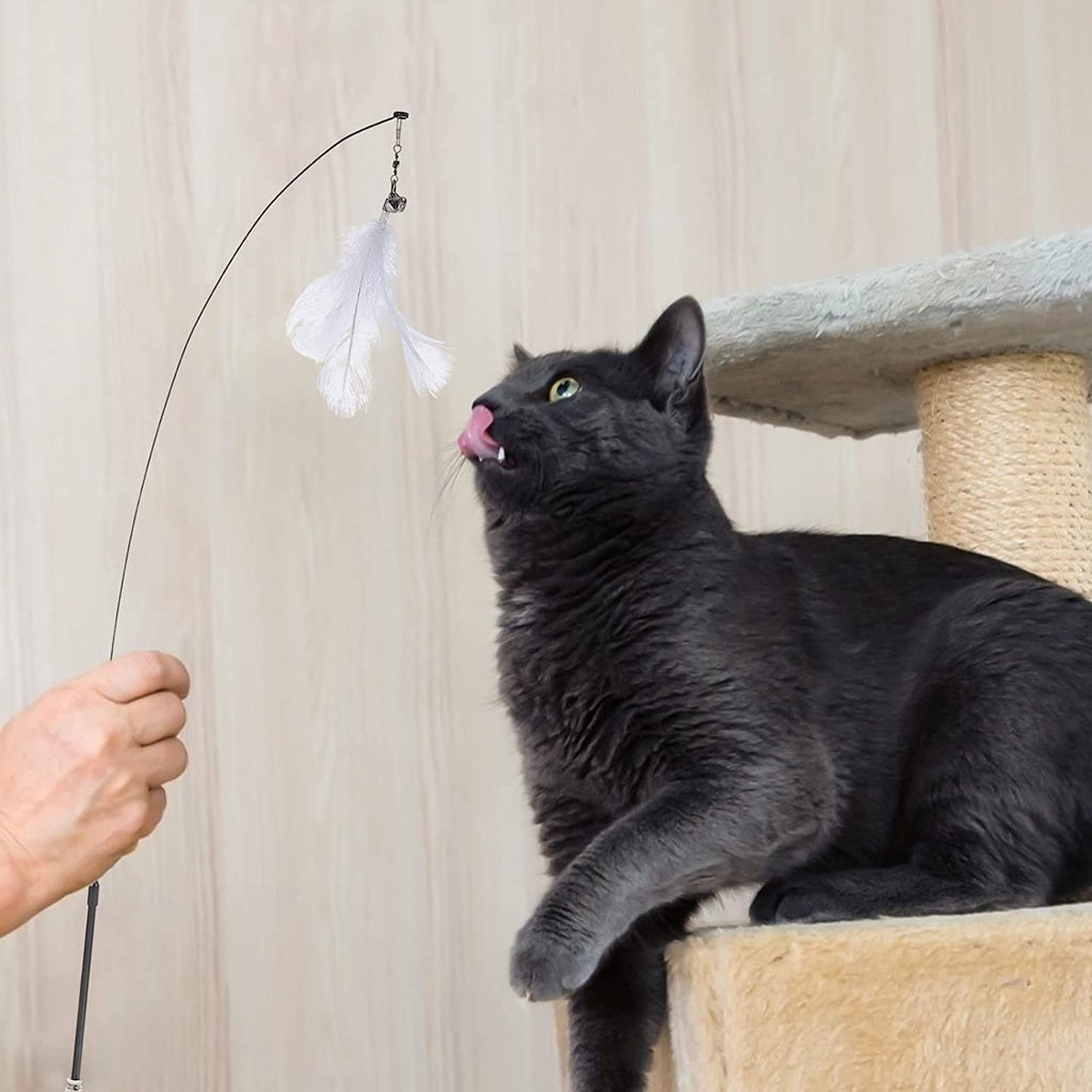 Suction Cup Cat Teaser Toy (White Feather)