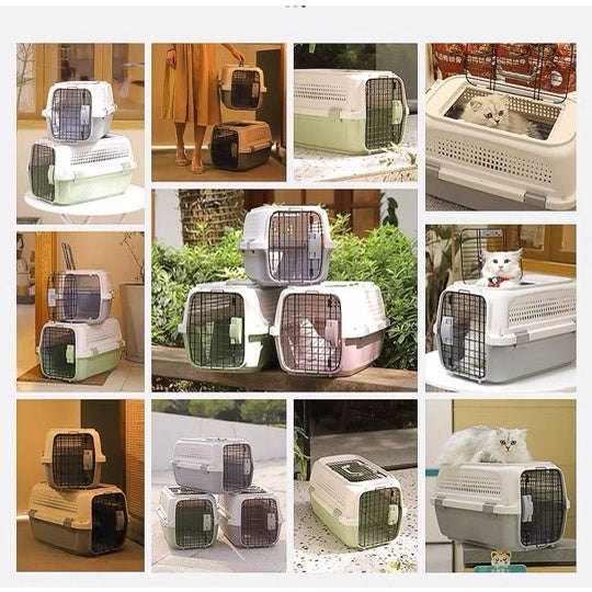 Pet Travel Carrier with Sky Window - Green