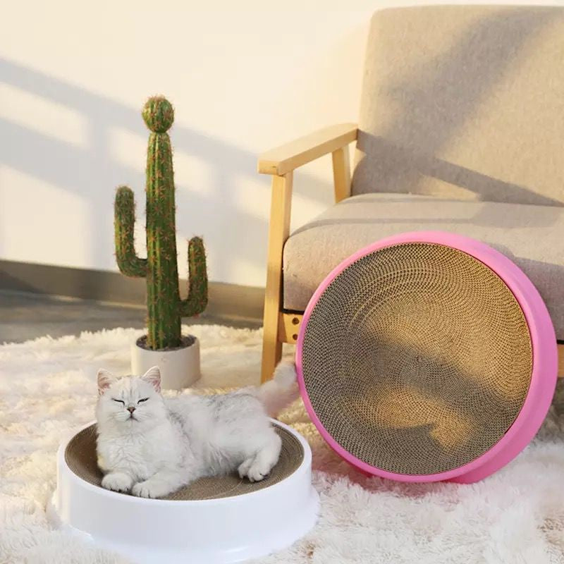 Bowl Scratching Board - Exchangeable Board (L)