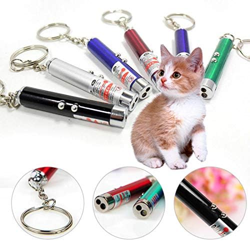 Cat Laser Pointer Toy (Random Color)