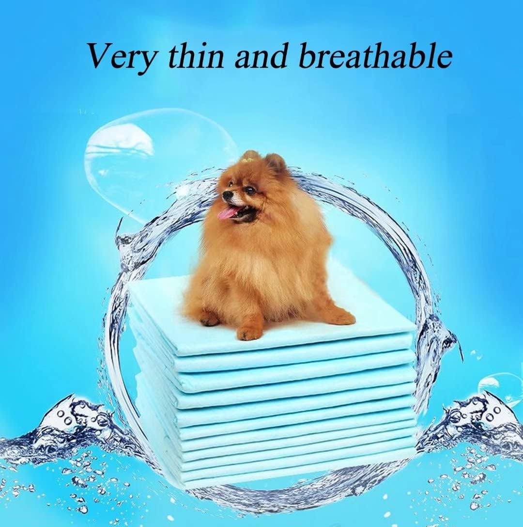 Absorbent Pee Pad