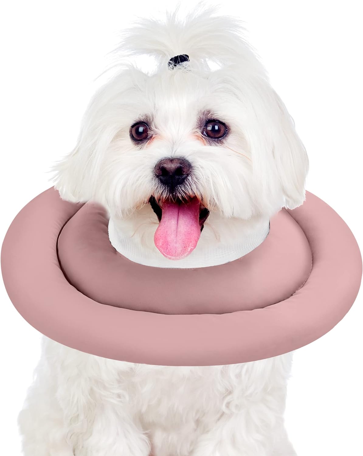 Donut design Thick Cushion Pet Collar (Pink)
