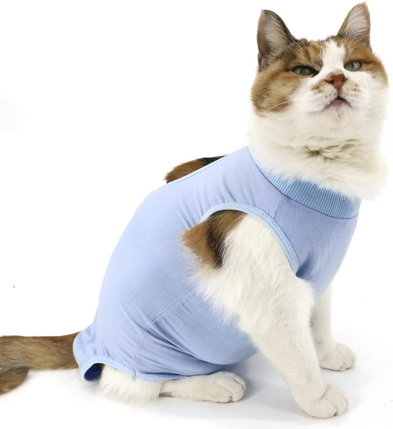 Pet Surgical Recovery Suit
