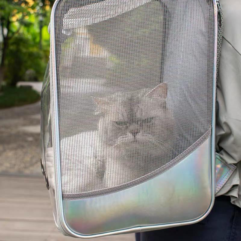 Soft Transparent cover Pet Silver Backpack (35cm)