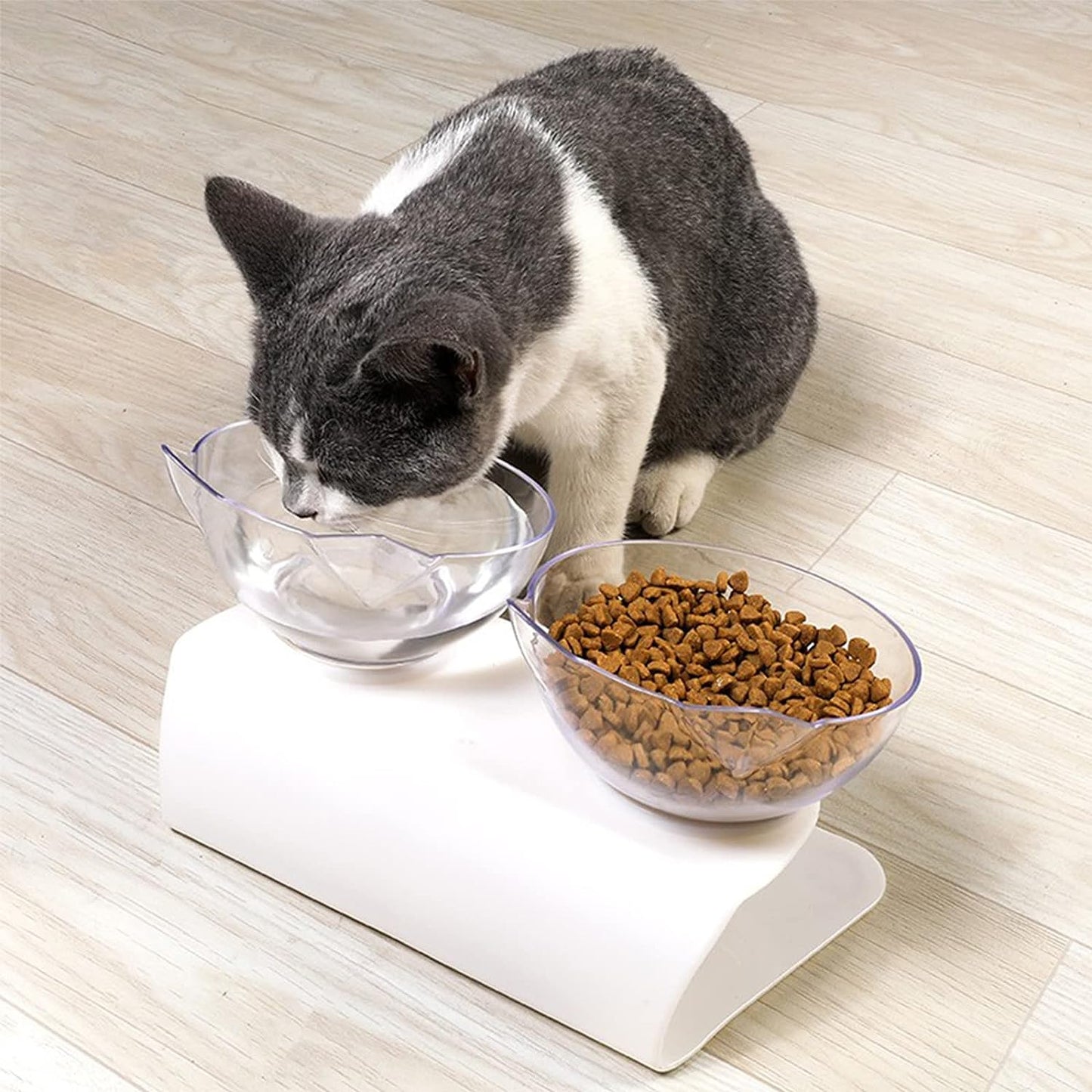 Pet Feeder Bowl (Double - Transparent)
