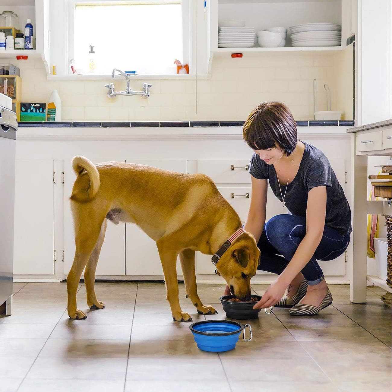 Silicon Foldable Pet Feeder Bowl