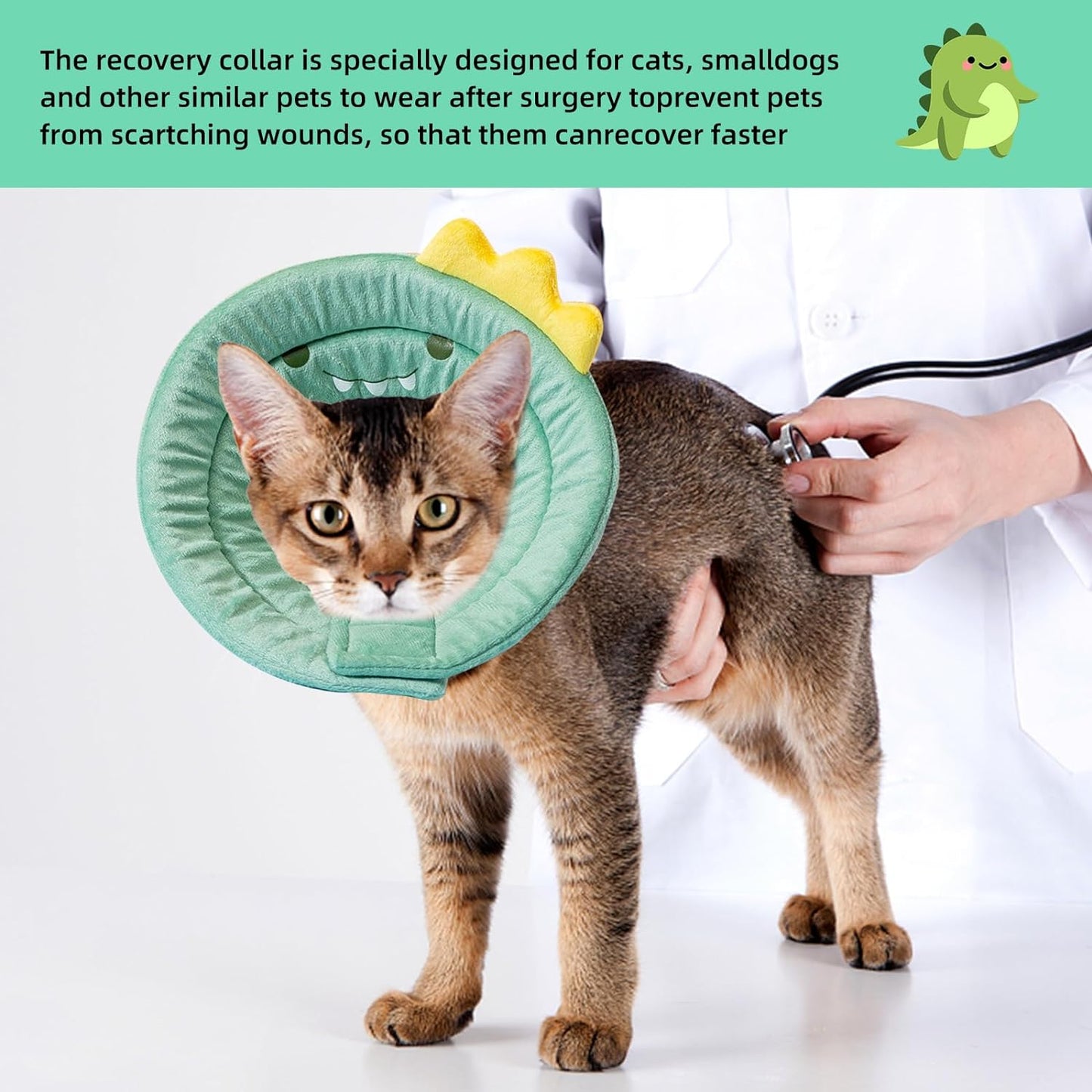 Dinosaur design Pet Collar