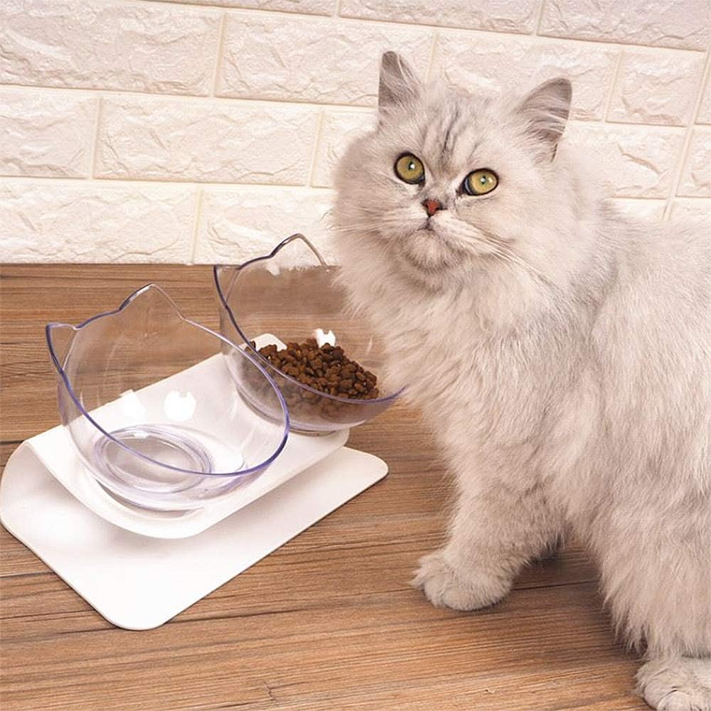 Pet Feeder Bowl (Double - Transparent)