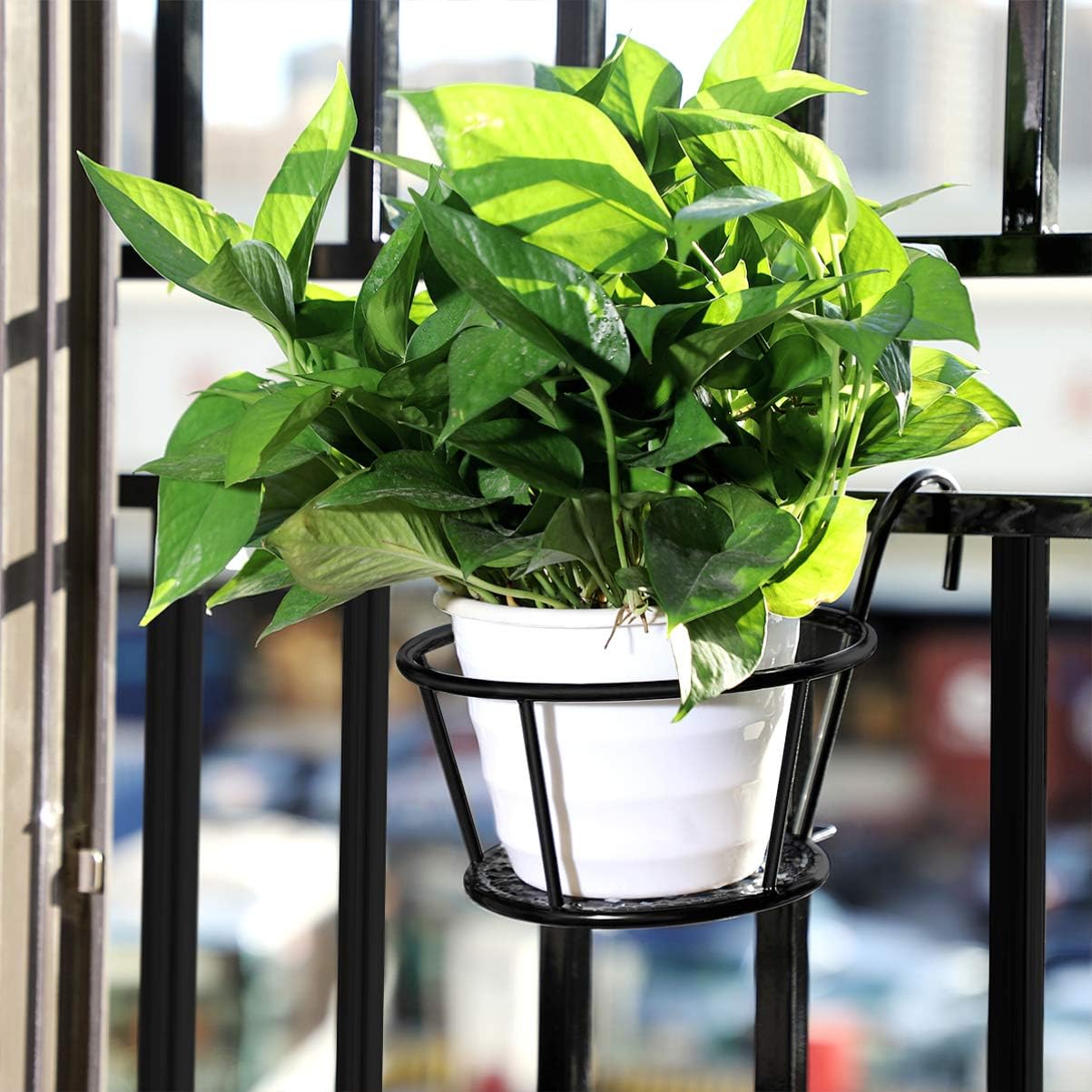 Round Coated Metal Hanging Basket (Black)