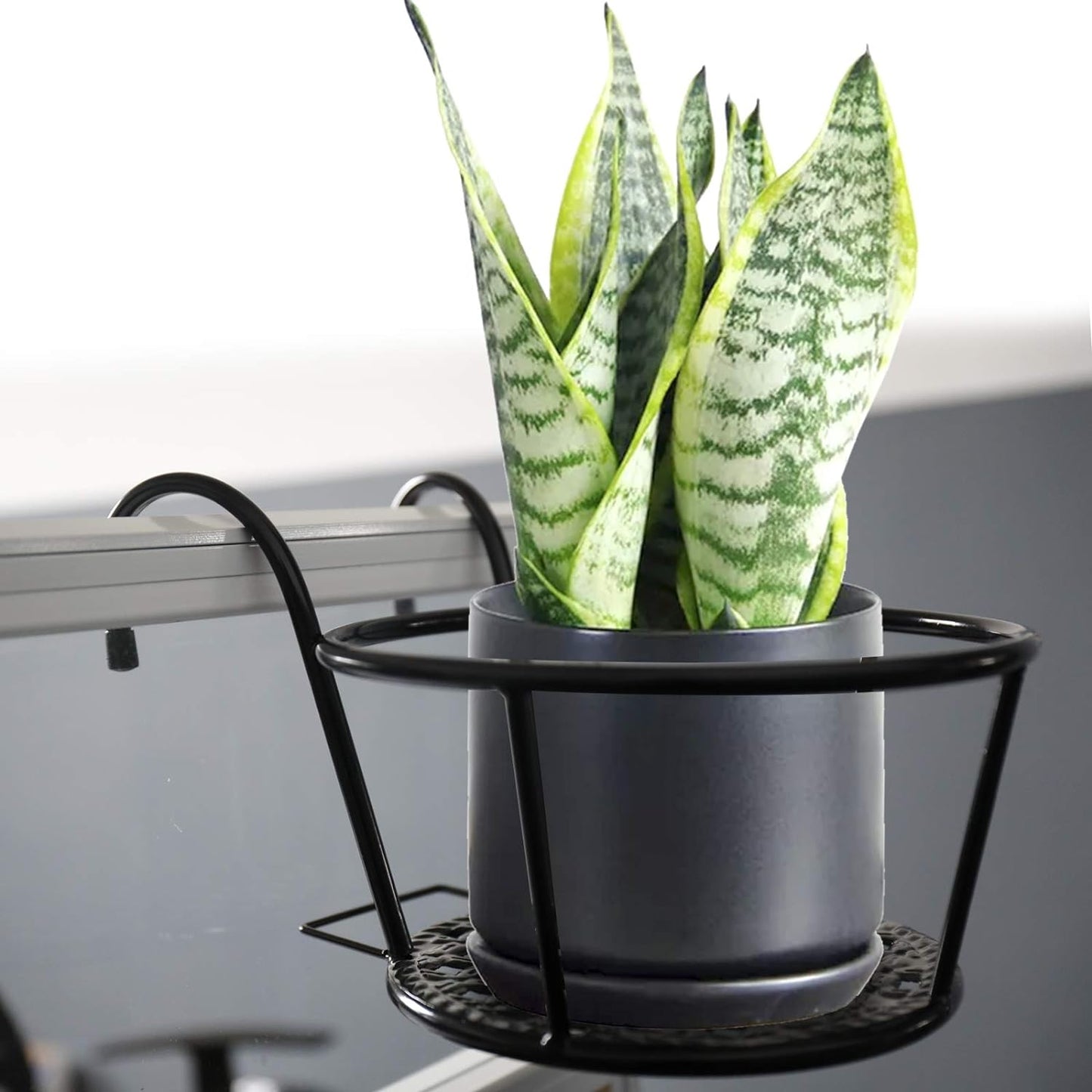 Round Coated Metal Hanging Basket (Black)