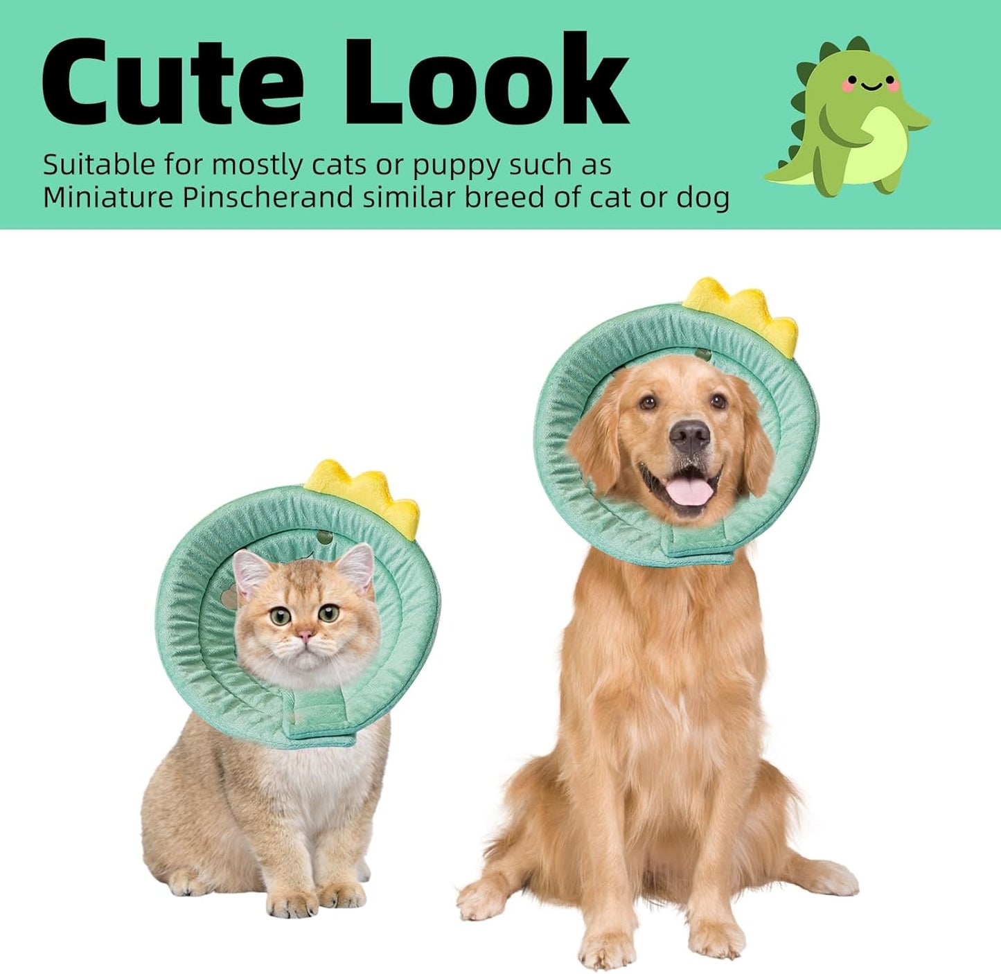 Dinosaur design Pet Collar