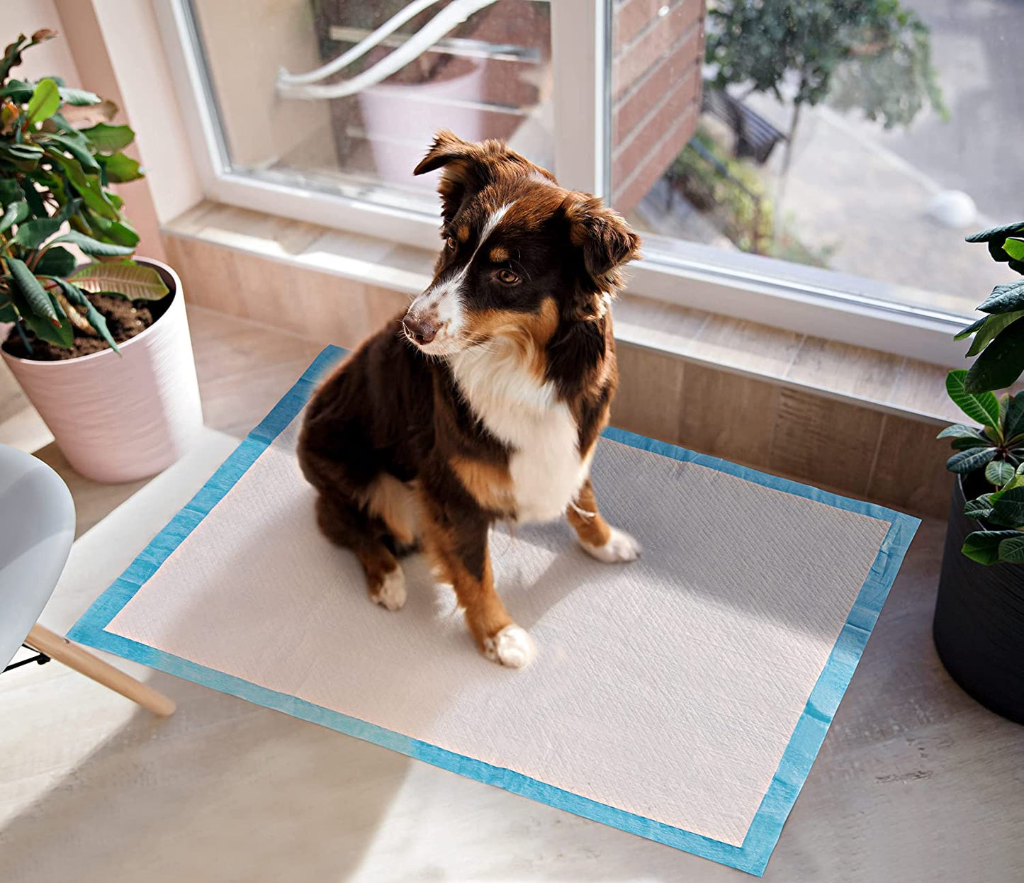Absorbent Pee Pad