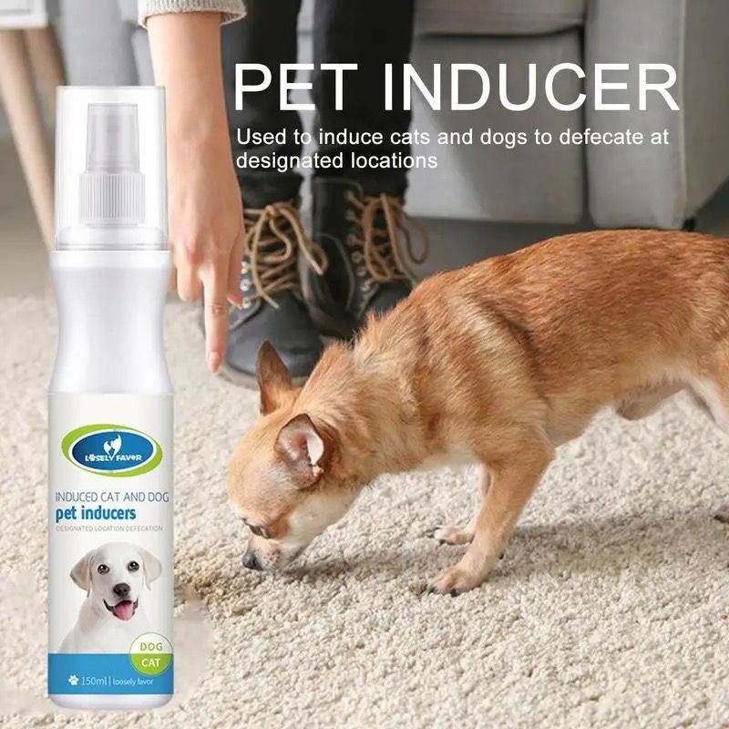 Dog Pee Training Inducer