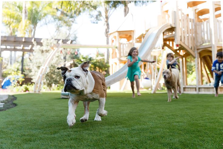 DecorSoft 30mm Artificial Grass (Soft Material)