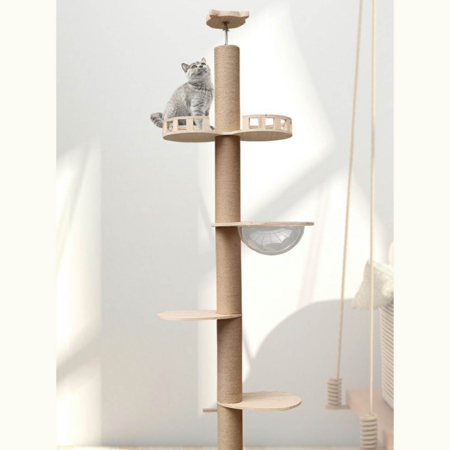 Wooden Ceiling Cat Condo with Bolw (2.4-2.6M++)