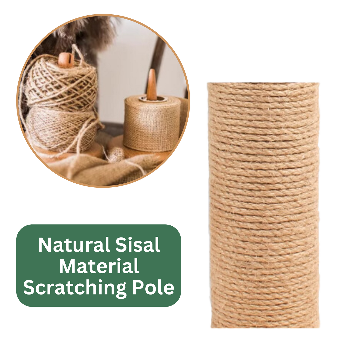 Sisal Scratching Post (Bear)