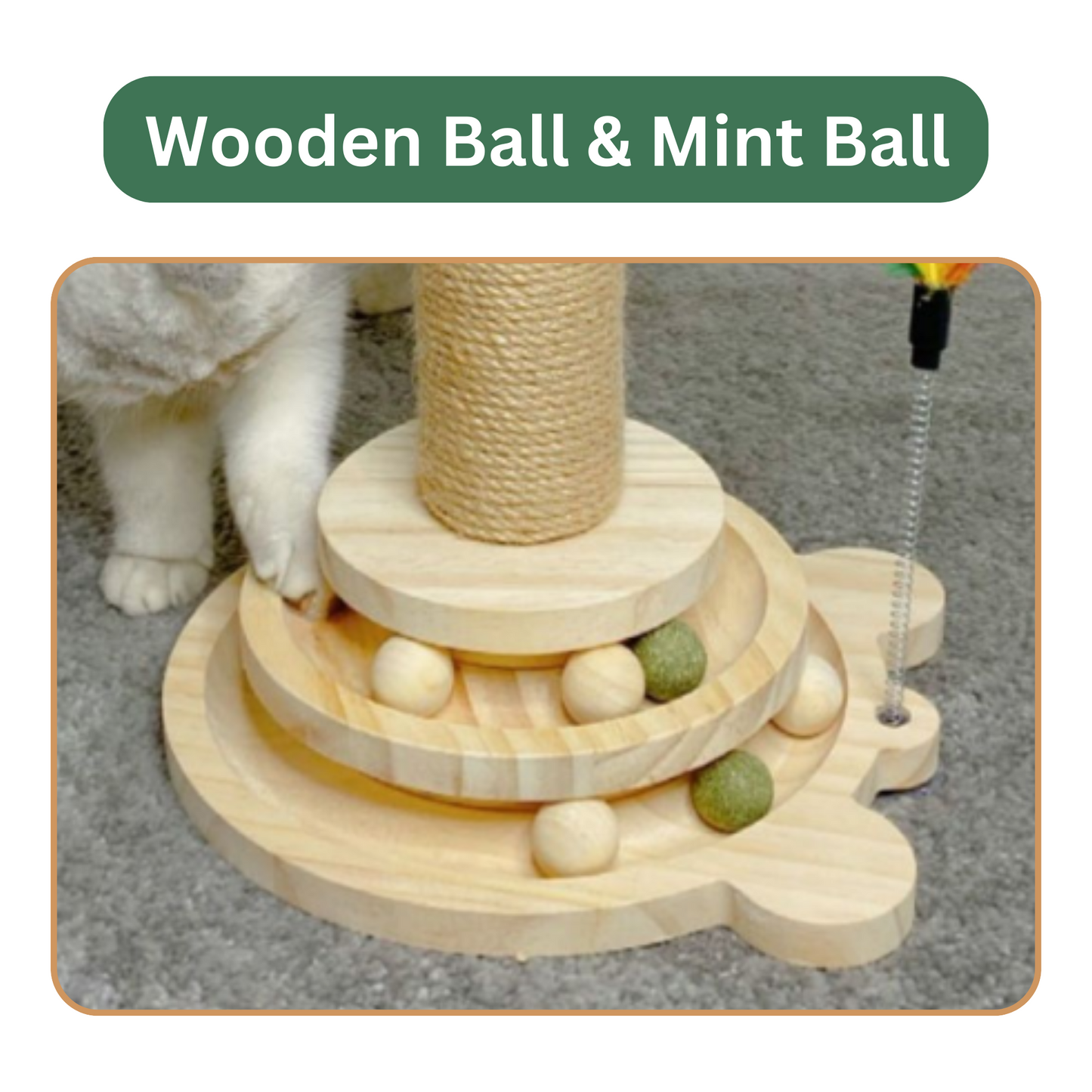 Scratcher Post - Wooden Track