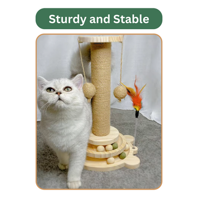 Scratcher Post - Wooden Track