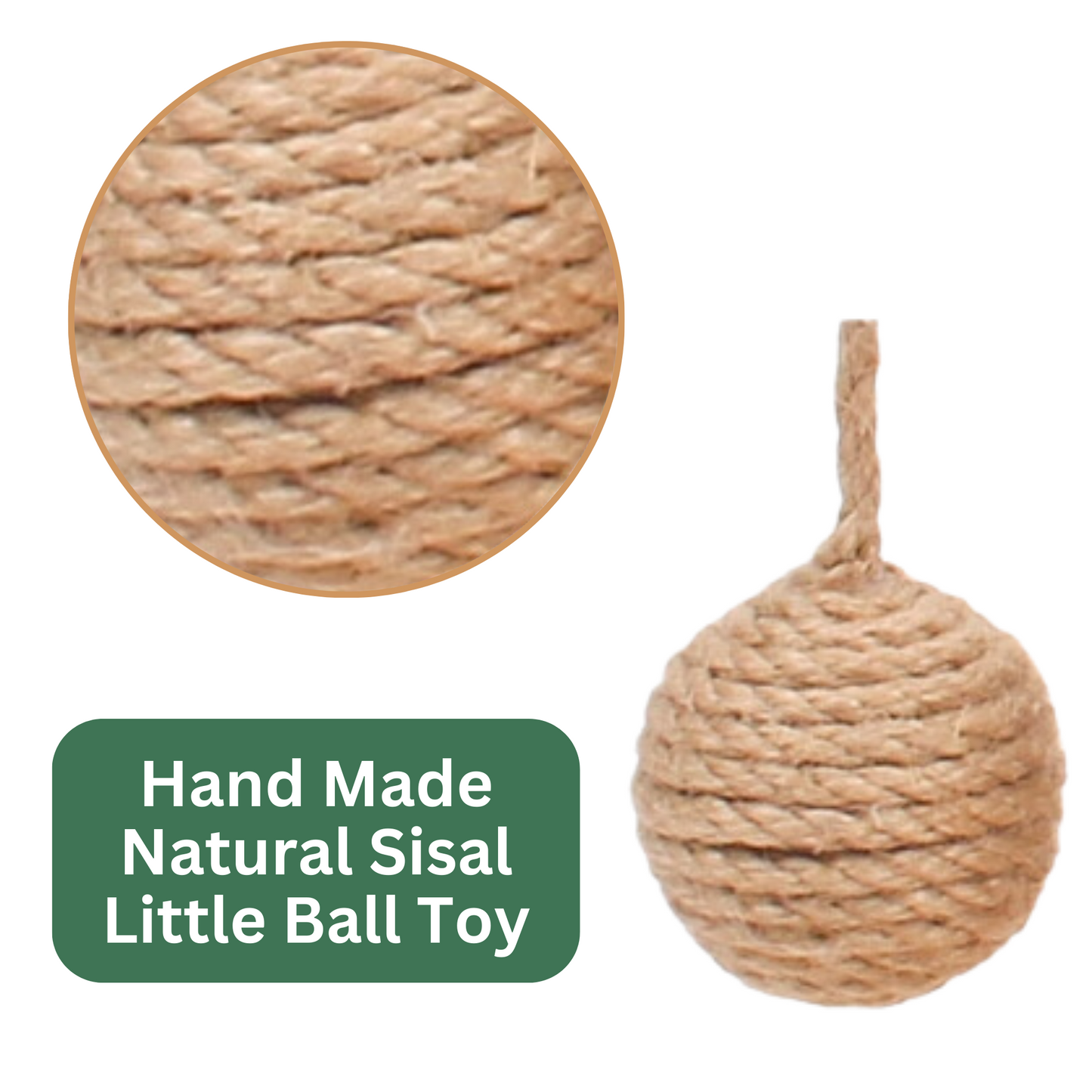 Sisal Scratching Post (Bear)