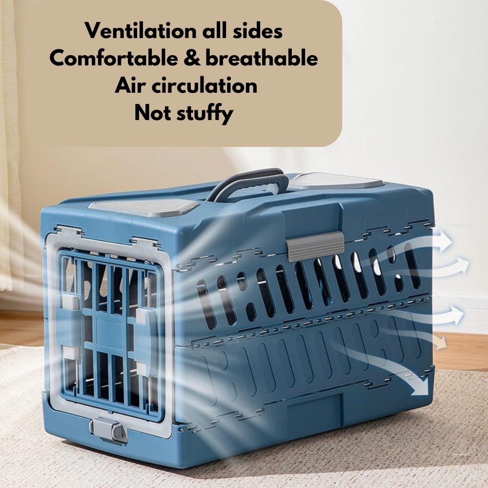 Foldable Travel Carrier (Blue)