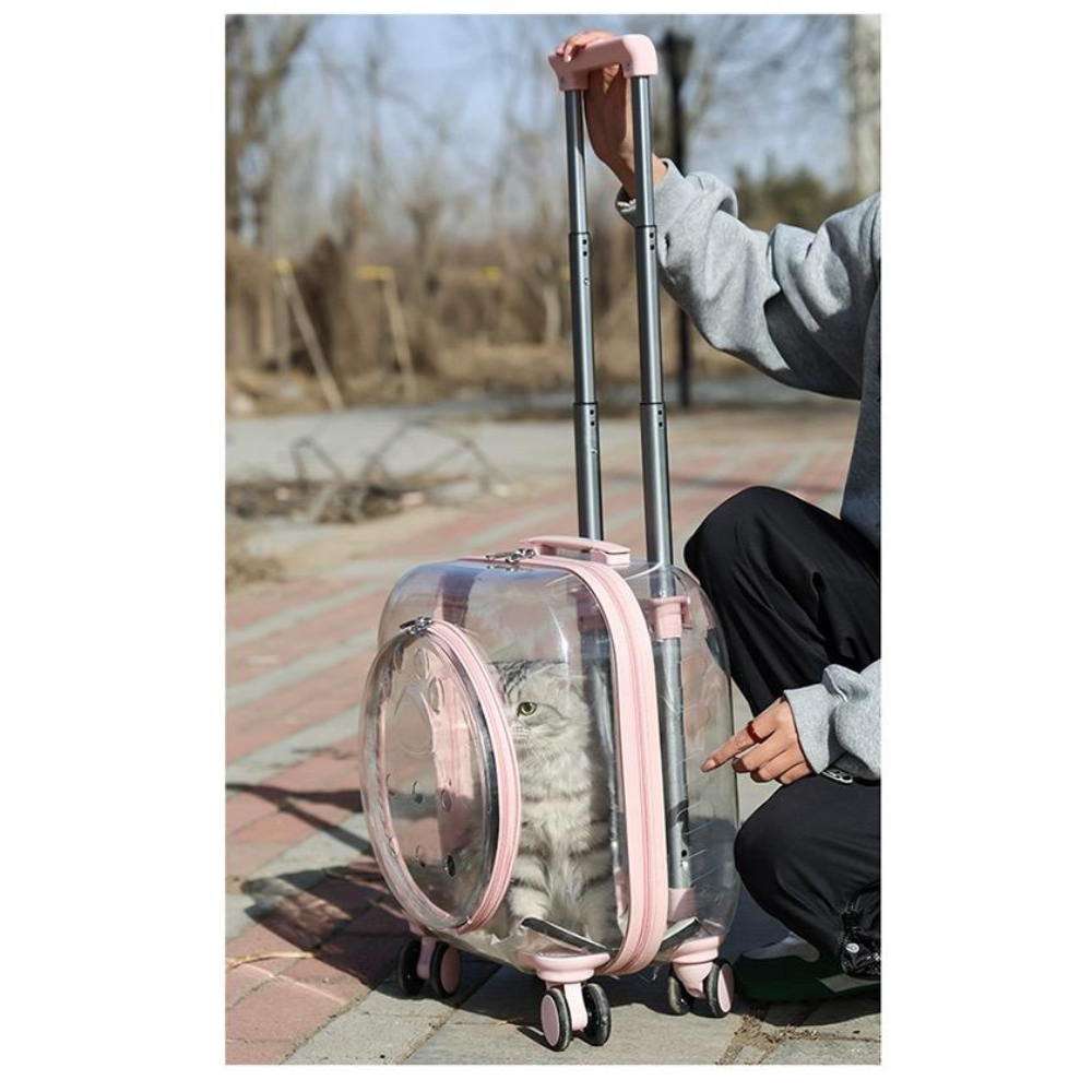 Transparent Pet Luggage and Backpack Trolley Carrier - Square (40cm)