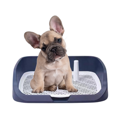 Training Pee Tray with Tray Handle (Tall)