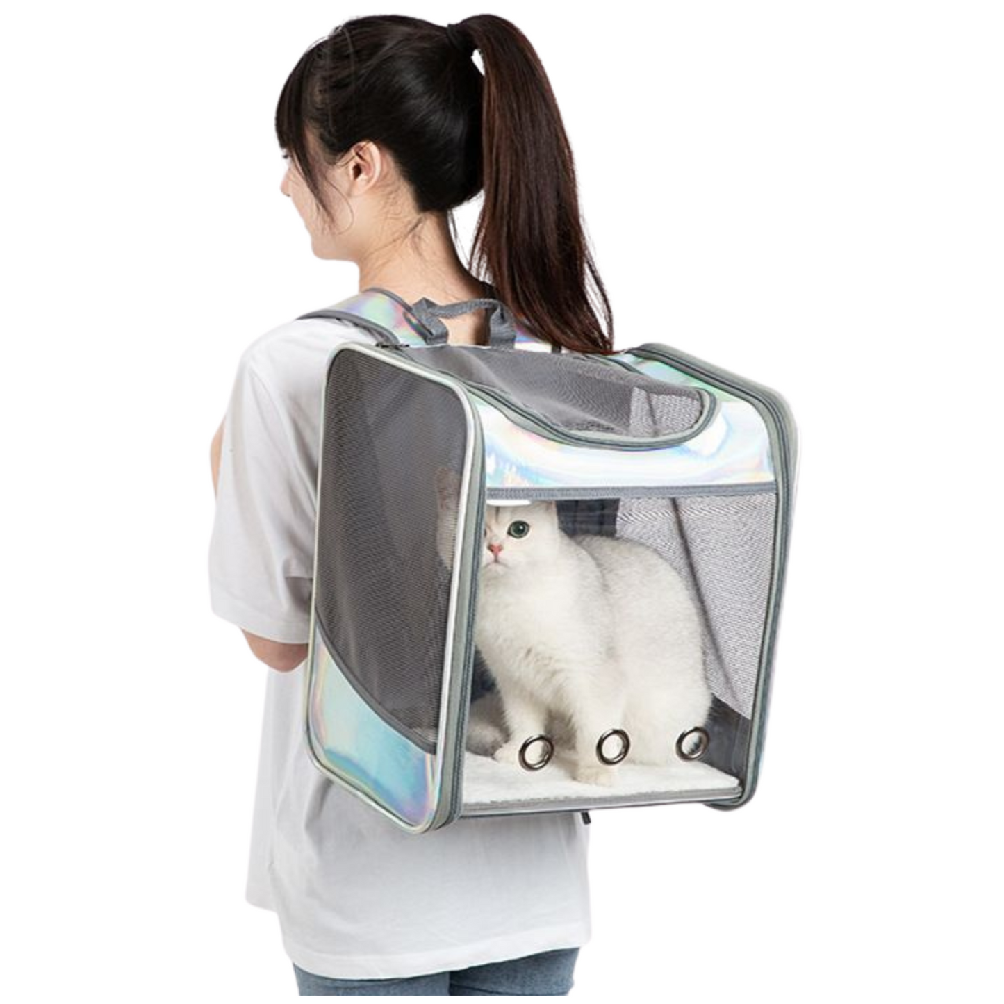 Soft Transparent cover Pet Silver Backpack (35cm)