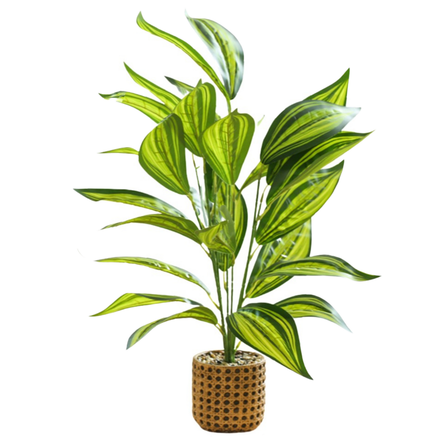 Artificial Medium Dracaena Plant - Light Stone Pot (60cm)