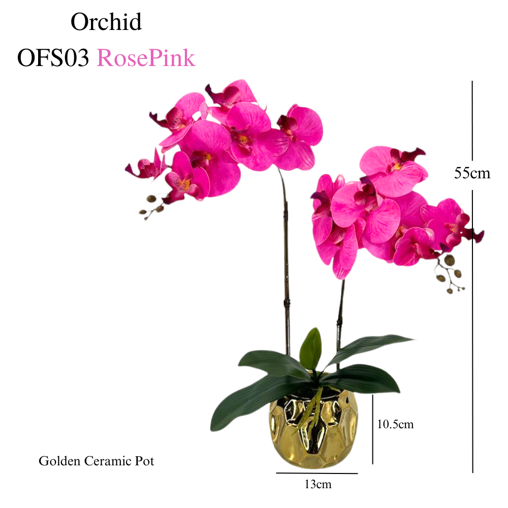 Artificial Orchid in Ceramic Gold Pot (50cm) - Purple/White/RosePink