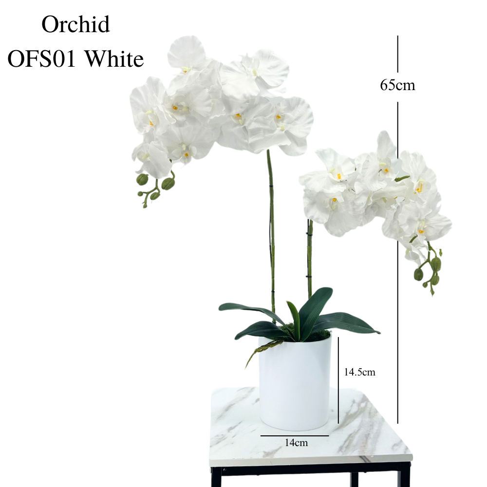 Artificial White Orchid in White Plastic Pot